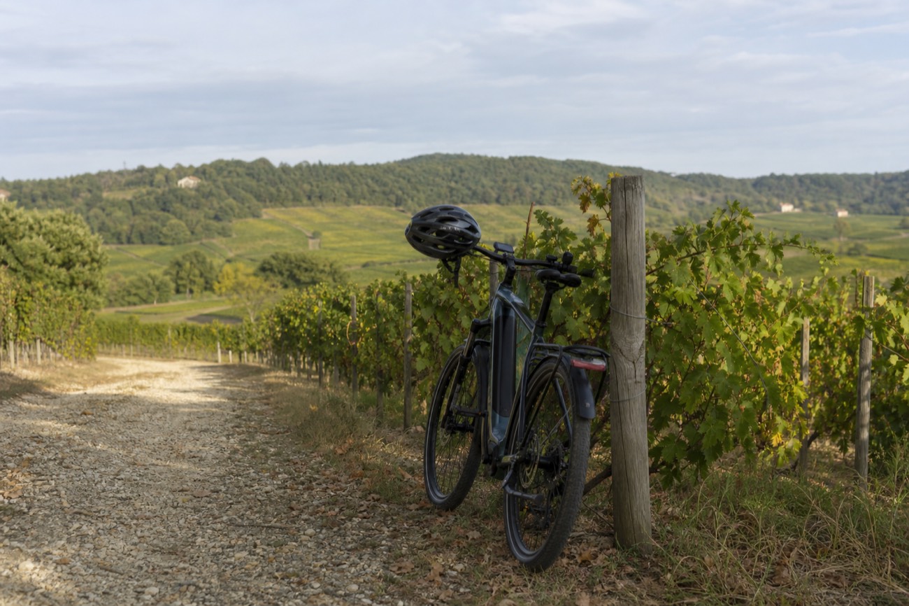 A parked electric bicycle on a gravel path between rows of vines near Saint-Émilion