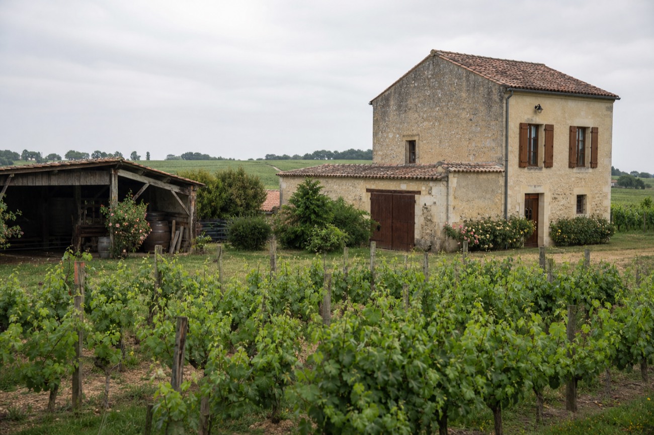 A small family-run vineyard estate near Bordeaux