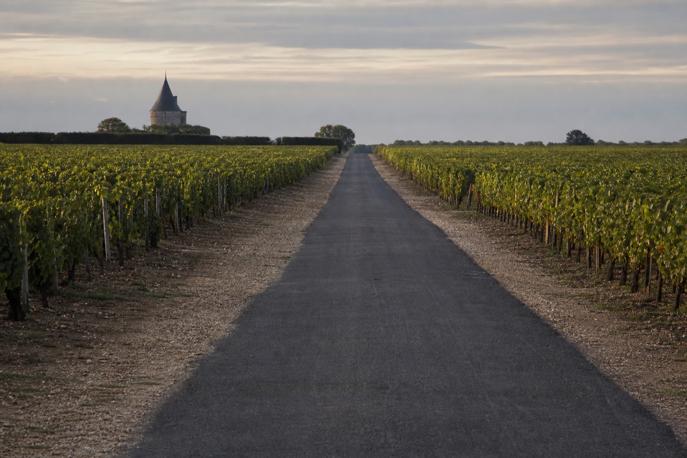 The gravel vineyards of the Médoc, Bordeaux's Left Bank
