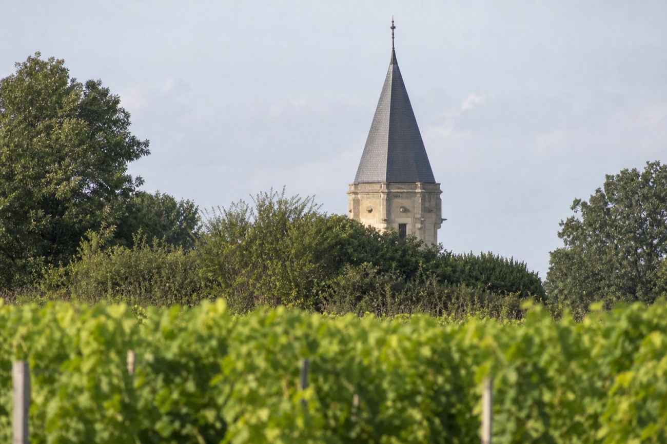 The gravel vineyards of the Médoc, Bordeaux's Left Bank