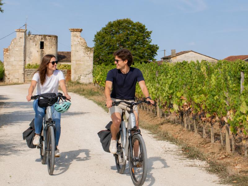 Bordeaux to St-Emilion: e-Bike Tour with Wine & Gourmet Lunch
